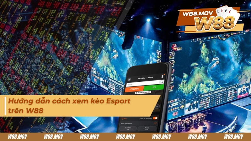 Hướng dẫn cách xem kèo Esport